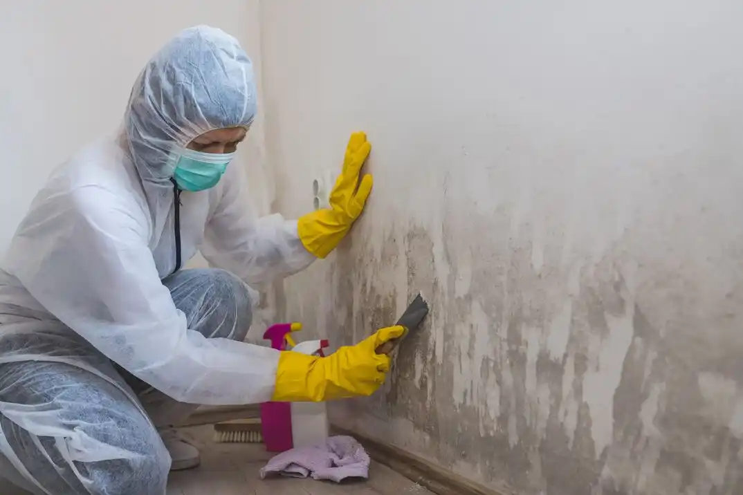 water damage restoration service Kaisertown